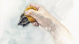 neanderthal-glue-l
