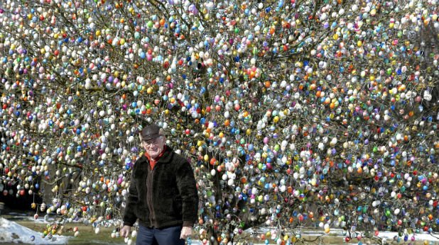 Немският пенсионер Фолкер Крафт и семейството му декорираха ябълковото си дърво с 10 000 великденски яйца. Това е фамилна традиция, която датира още от 1965 г. и която всяка година привлича хиляди туристи в градината на Крафт.