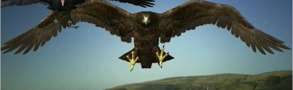 Birdemic: Shock And Terror (2010)
