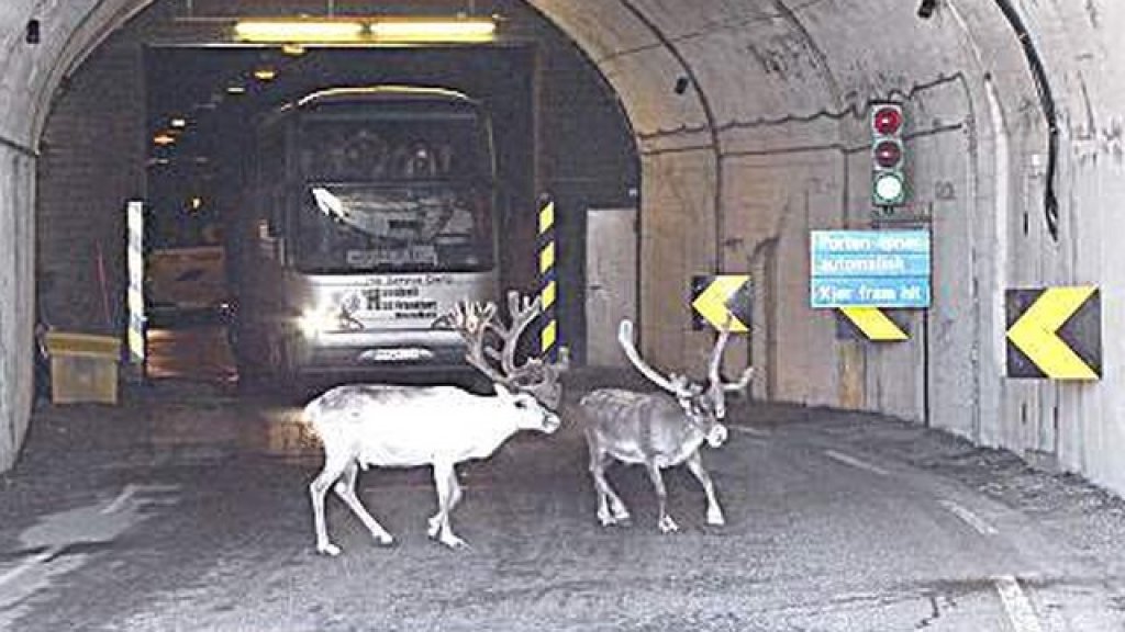 norway tunnel