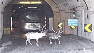 norway tunnel