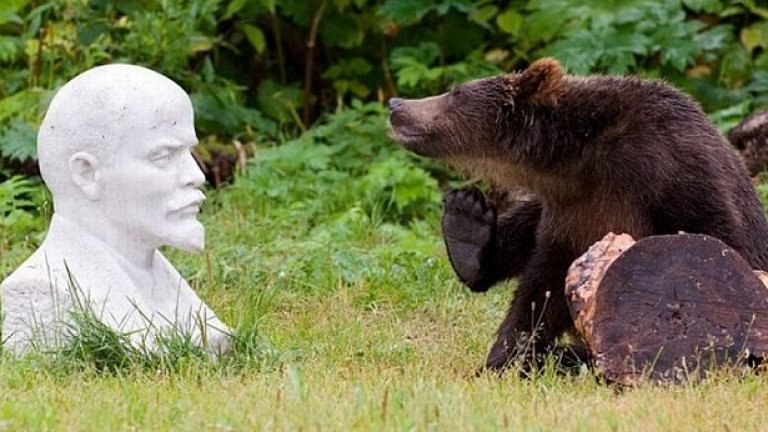 Съдът в Смолян, присъдил обезщетение от 130 000 лева на роднините на убития от мечка Шиков, преценил, че броят на мечките в района на Кутела е много голям, а контролът - занижен