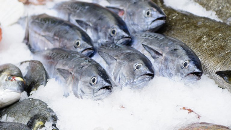 Рибната селекция предлага над 40 вида гръцка, черноморска и речна риба, както и многообразие от рибни салати.

