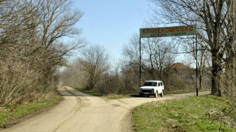 Някога в разположената на острова кравеферма затворниците са се грижели за хиляди животни. В областта е имало 250 000 крави. Сега има 200