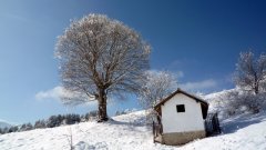 Снежната идилия се стапя след 15 февруари