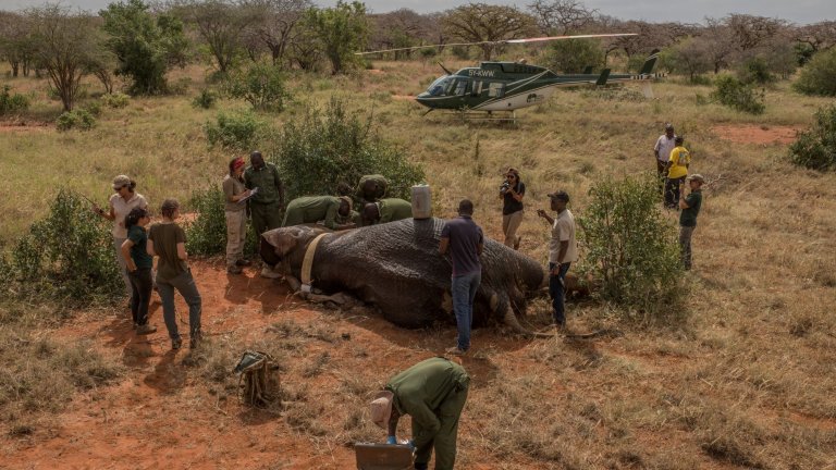 Съжителството с диви животни е проблем в Ботсвана.