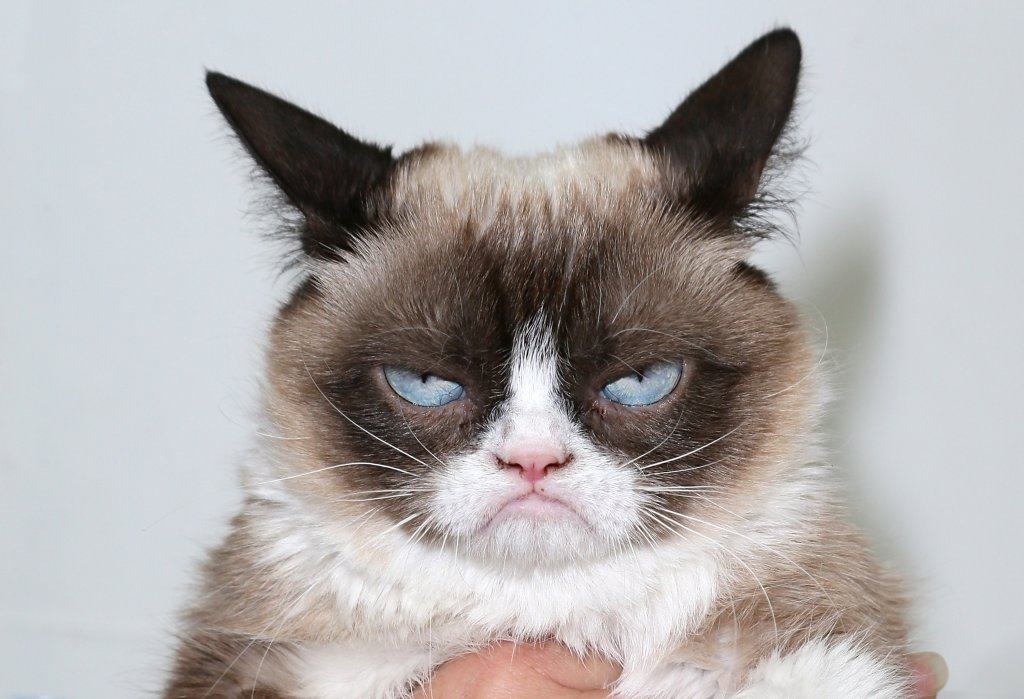 "The Grumpy Guide To Life: Observations By Grumpy Cat" Book Launch Party