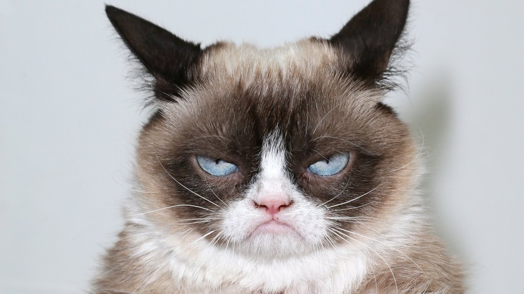 "The Grumpy Guide To Life: Observations By Grumpy Cat" Book Launch Party
