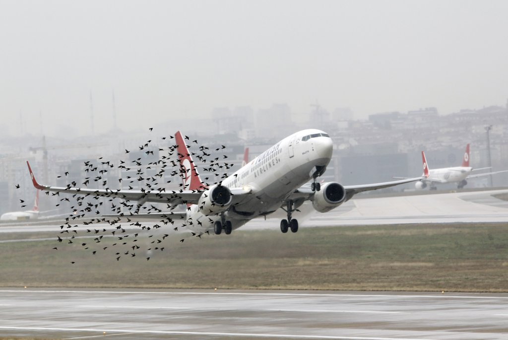 A Turkish Airlines plane takes off at Ataturk International Airport in Istanbul