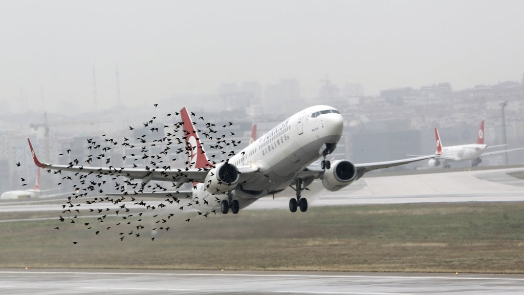 A Turkish Airlines plane takes off at Ataturk International Airport in Istanbul