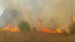 Големият пожар в местността "Камбаните" в София е унищожил общо 5 декара растителност
