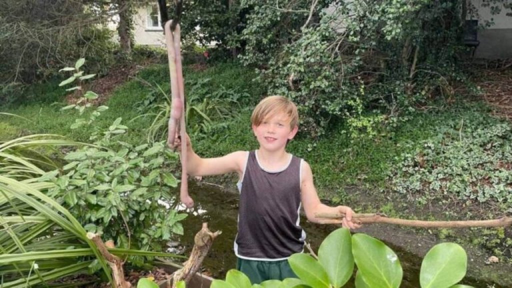 new-zealand-giant-earthworm-768x432