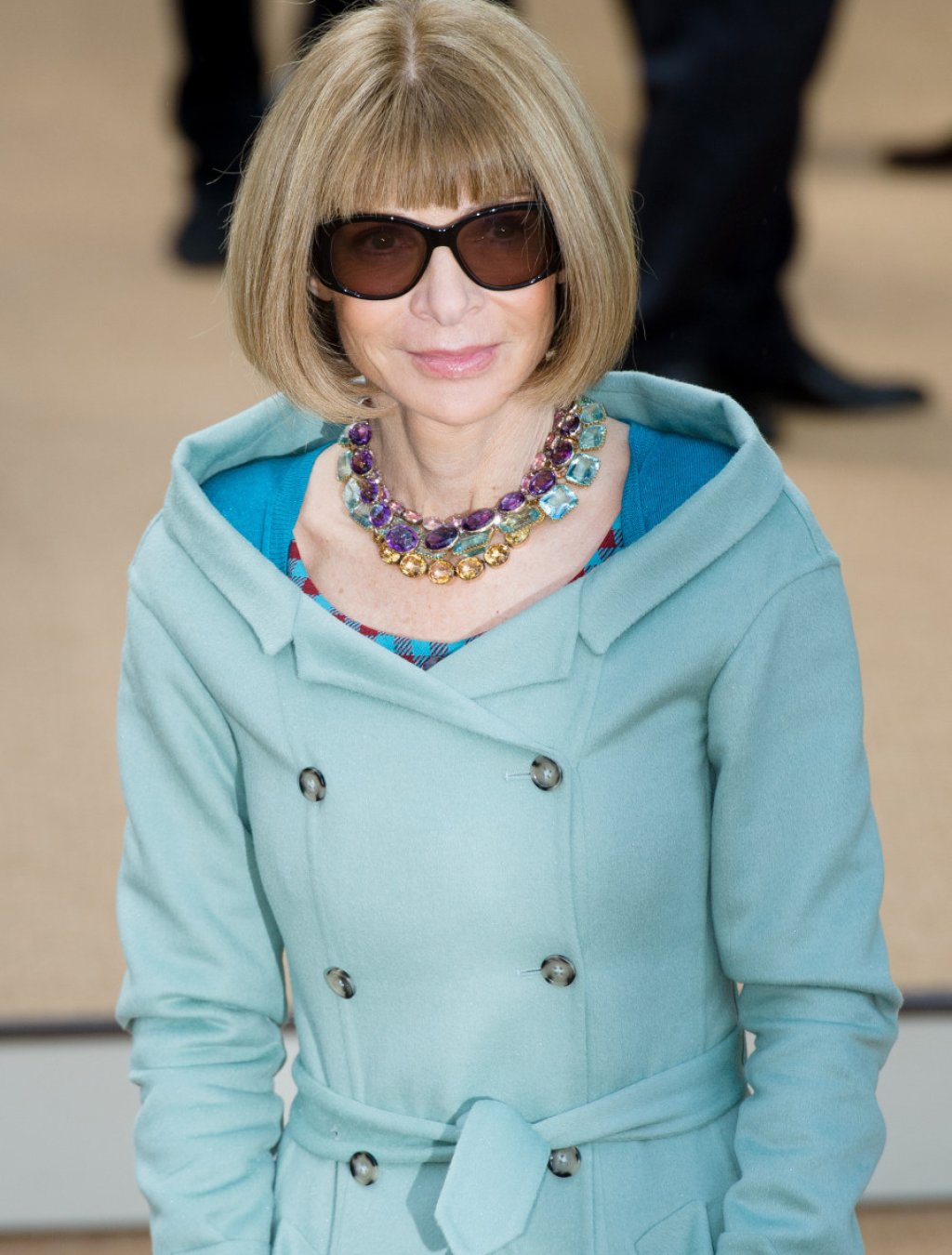 Главната редакторка на сп. Вог Ана Уинтур стана баба за първи път. Каролайн се роди на 28 март и е дъщеря на Чарли Шафър, сина на повелителката на модата, и съпругата му Лизи.