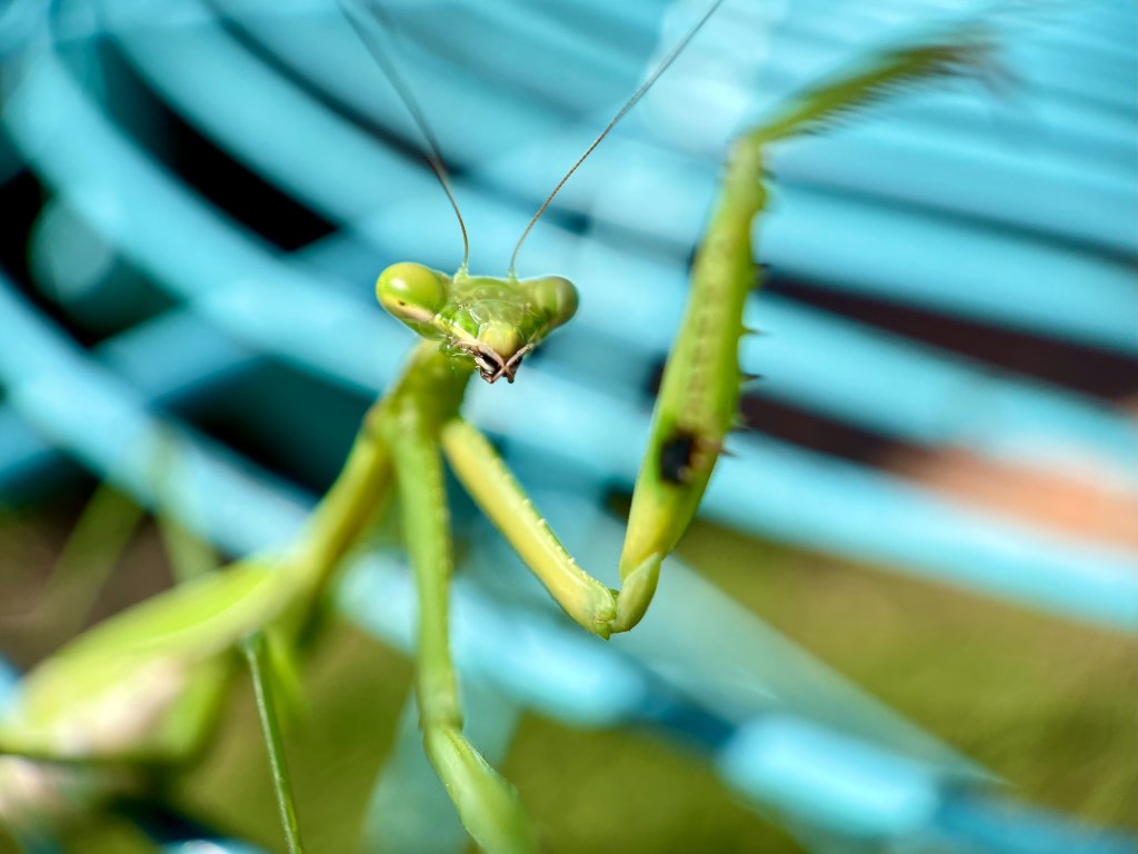 cameron-dowd-0I3CzRTo2Rg-unsplash