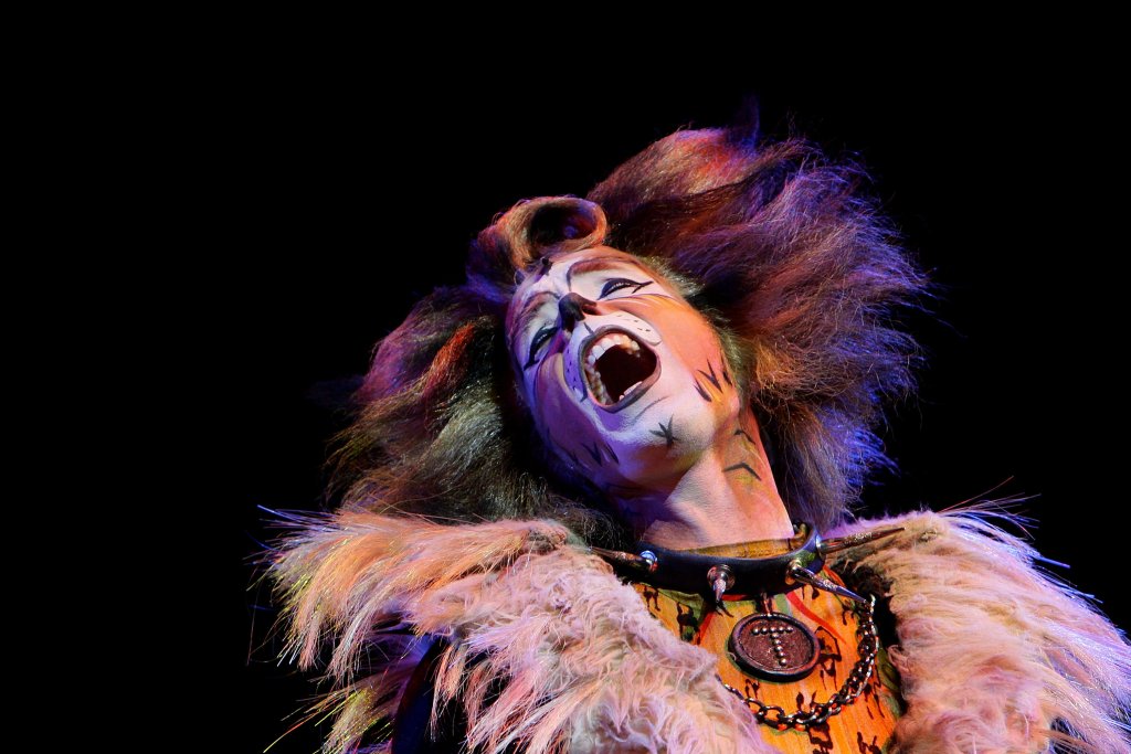 CATS Media Call Sydney