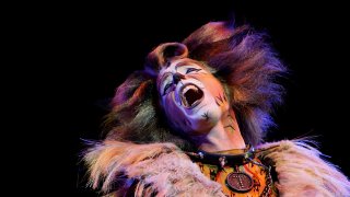 CATS Media Call Sydney