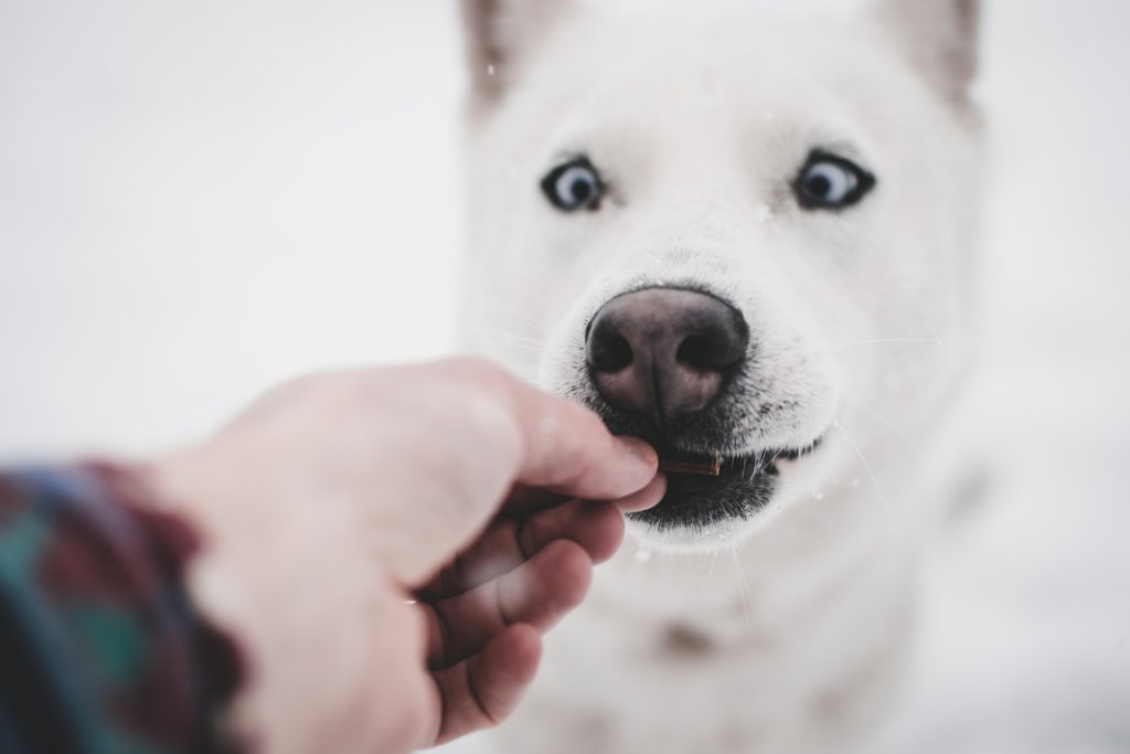 marek-szturc-GokBcmdOI6I-unsplash
