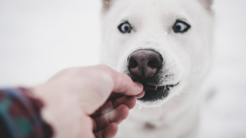 marek-szturc-GokBcmdOI6I-unsplash