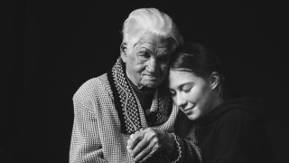 родословното дърво родословно дърво