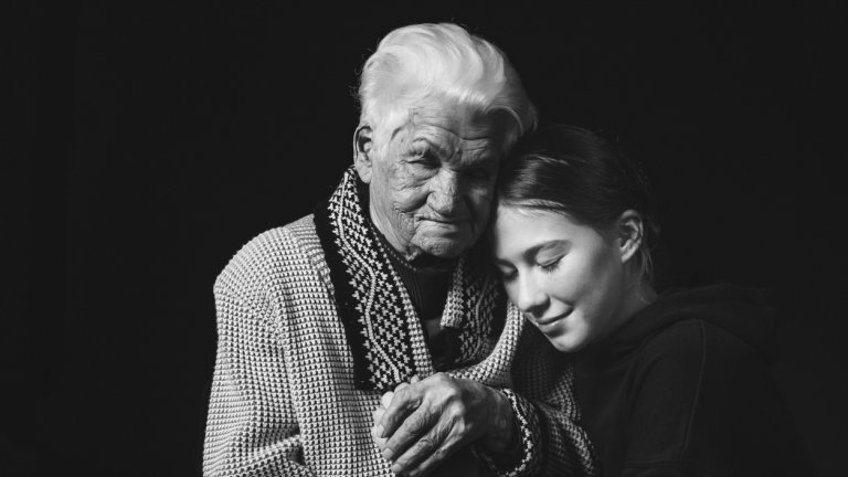 родословното дърво родословно дърво