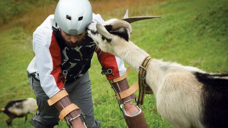 Човекът, изобретил кози протези, Томас Туейтс постига висоти в научните си експерименти - прекарва три дни в швейцарските Алпи, храни се с трева, блее и се катери по скалите