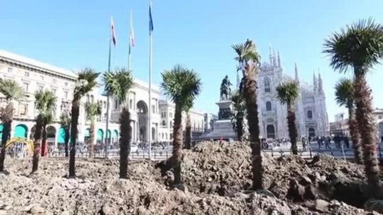 Но палмите предизвикаха сериозни полемики сред гражданите на Милано. Граждански групи категорично заявиха, че не желаят пиаца Дуомо да придобие "африканки облик"