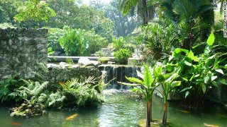 120312105731-singapore-botanic-gardens-horizontal-gallery