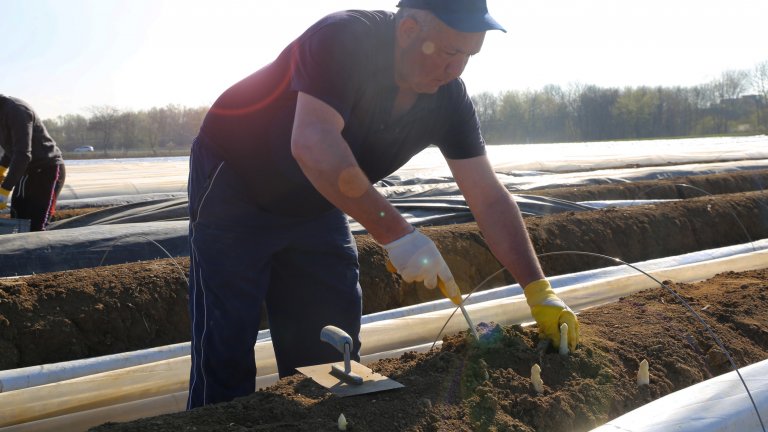Въпреки разпространението на коронавируса, а в някаква степен и заради него, работната ръка от Източна Европа сега е дори по ценна за страните от Западна Европа. Това обаче не означава, че условията за хората, които ще заминат да работят по западните полета, ще са по-добри.