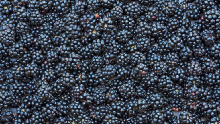 Къпини - 43 калории / 100 гр. 
Ползите от консумацията им включват по-доброто здраве на храносмилателната система, укрепване на имунната система и здравето на сърцето, както и намаляване на риска от рак. Те осигуряват когнитивни ползи и укрепват паметта, контролират теглото и поддържат здрава костната система, подобряват зрението.
Могат да служат като ценна храна по време на бременност поради впечатляващата гама от здравословни хранителни вещества. Витамините, предоставени от къпините, включват витамин А, витамин В1(тиамин), В2(рибофлавин), витамин В3 (ниацин), витамин В6, фолиева киселина, витамин С (аскорбинова киселина), витамин Е(алфа токоферол) и витамин К (филохинон). Богати са и на минерали като калций, желязо, магнезий, фосфор, калий и цинк, добър източник са на аминокиселини и диетични фибри.