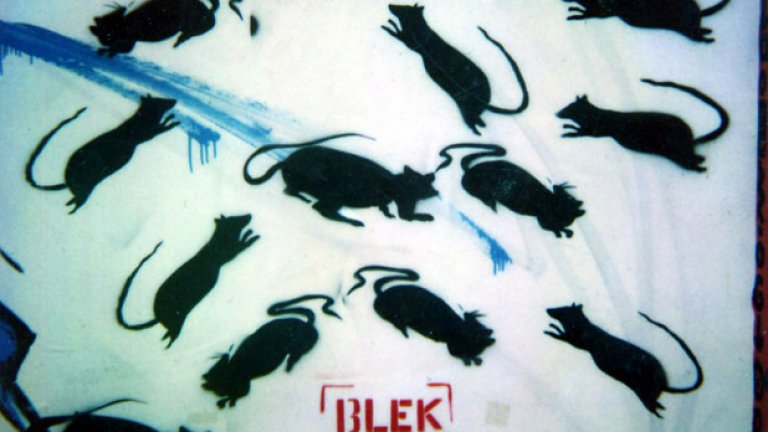 Първите плъхове в Париж се появяват през 1981 година