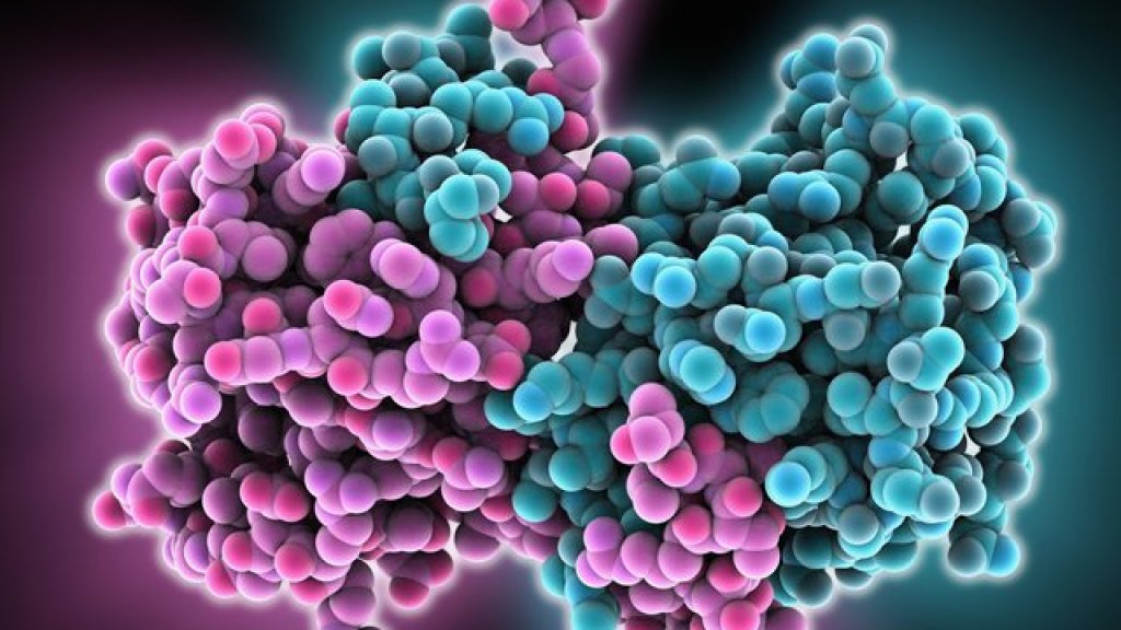 ebola