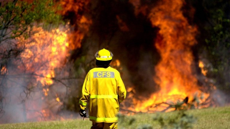 1000 пожарникари се борят с пламъците в щата Нов Южен Уелс (снимка: Getty, архив)