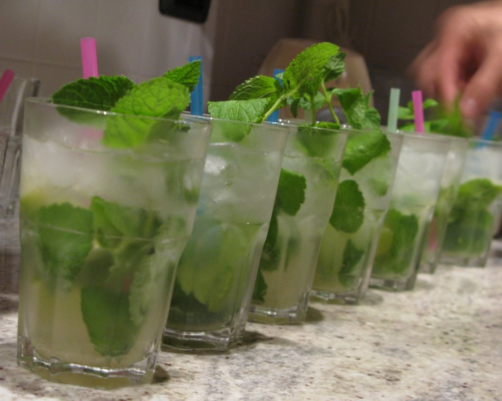 mojito-party