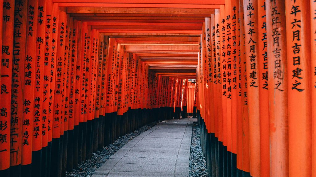 lin-mei-NYyCqdBOKwc-unsplash