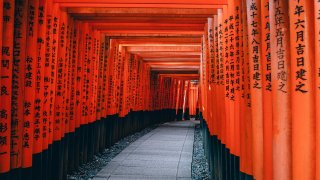 lin-mei-NYyCqdBOKwc-unsplash