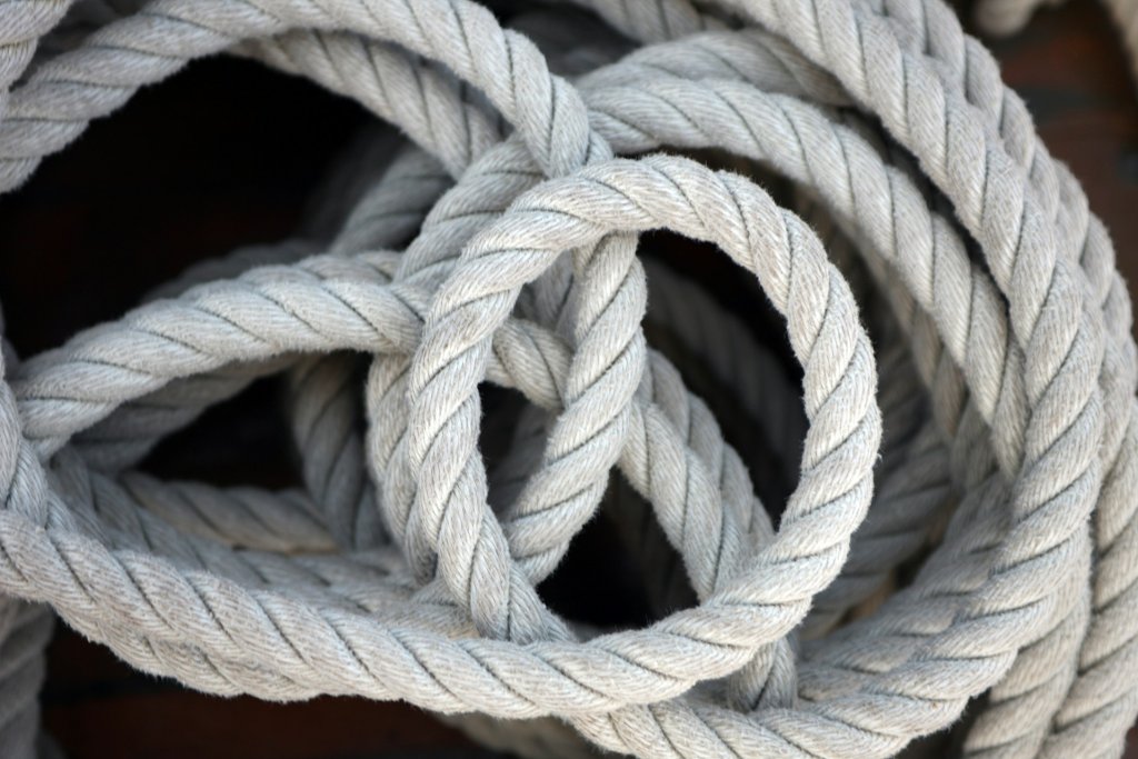 david-trinks-VnDoBDzO6R0-unsplash