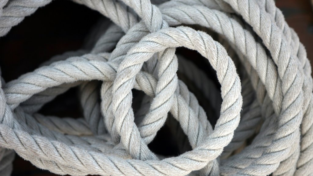 david-trinks-VnDoBDzO6R0-unsplash