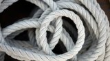 david-trinks-VnDoBDzO6R0-unsplash