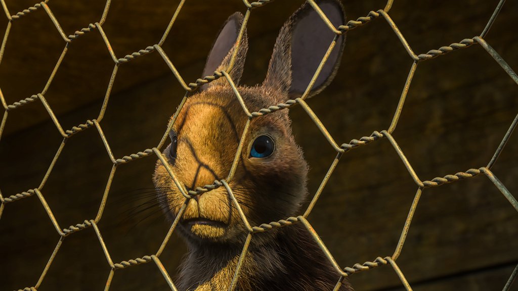 watership down