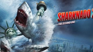 sharkando