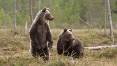 Няма пострадали при инцидента