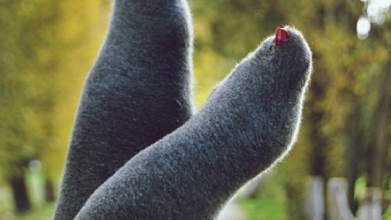 Скъсани чорапи. Всички имаме поне по няколко чифта и си ги пазим по неясни причини. А всеки път, когато ги обуем, се налага да се събуваме пред хора и да се притесняваме. На боклука!