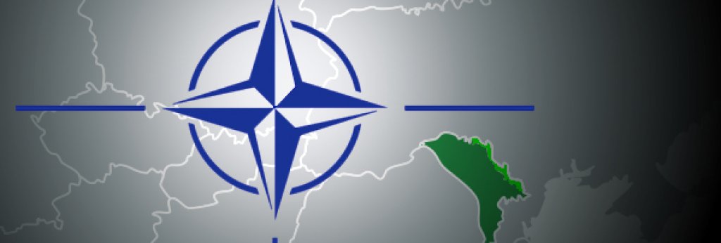 9NATO_Mol_P