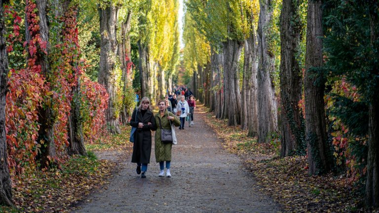 Гробни места под наем, чакане на опашка за кремация и други “странности” на датския живот след смъртта
