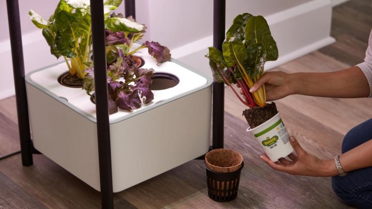 Miracle Gro Twelve
Щом телефонът може да се свърже с всичко в умния дом - защо да не го прикачим и към саксии за билки и зеленчуци? Miracle Gro Twelve е устройство с четири отделения за посеви и автоматизирана напоителна система. Свързва се с мобилно приложение през Bluetooth и ви подава сигнал кога растенията имат нужда от допълнителни грижи. Моделът може да се купи срещу 300 долара с предварителна заявка в Indiegogo.