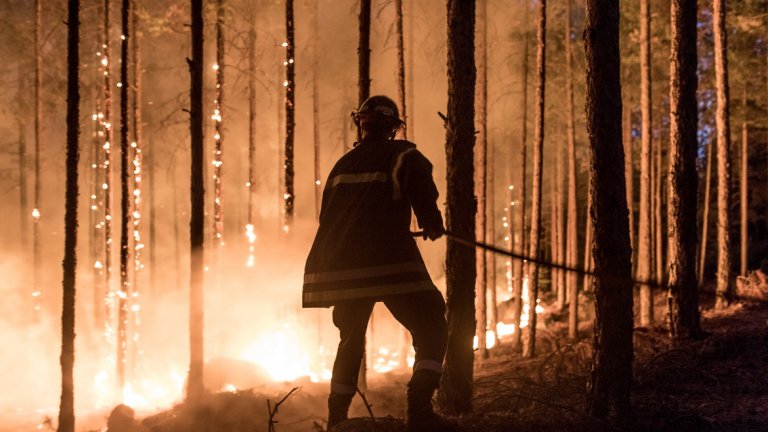 Според специалисти ще са необходими поне 50 години, за да се възстанови растителността
