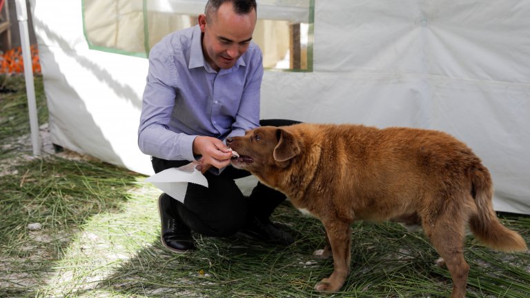 През май Боби навърши 31 години.