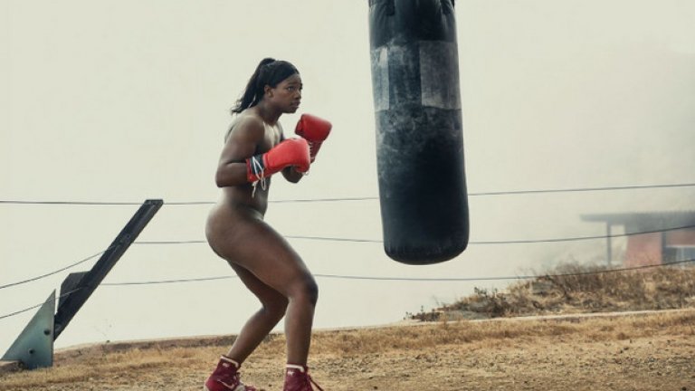 Клариса Шийлдс, бокс