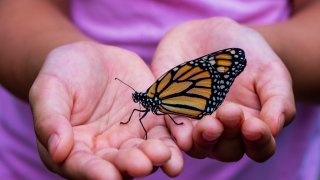 david-clode-13PjNBaDMcg-unsplash