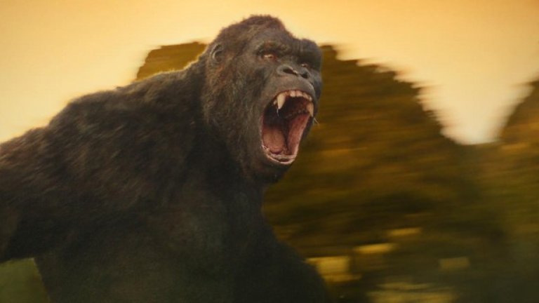 Конг носи короната на могъществото и тъгата. Той е драматичен персонаж с огромно влияние върху жанровата образност. Бил е представян като огромен човекоподбен примат, като уголемена и биологично „правилна“ горила, като карикатурен Йети… артистичният апетит за Конг отговаря на размерите му. Тази година Кралят се завръща с филма Kong: Skull Island.
